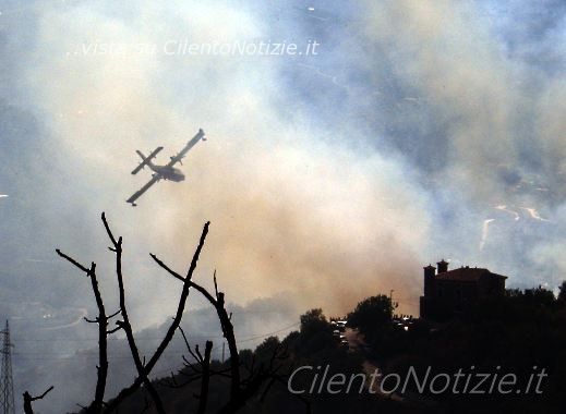 Torchiara Notizie foto - incendio torchiara 185082012 testata.jpg