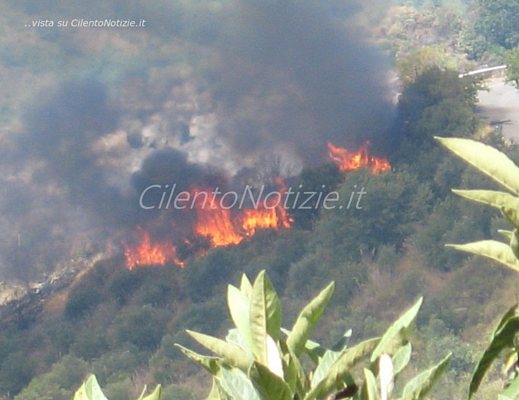 incendio torchiara20082012 21 incendio torchiara20082012 21