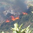 Torchiara Notizie foto - incendio torchiara20082012 21