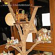 Castellabate Notizie foto - l albero presepe a Castellabate
