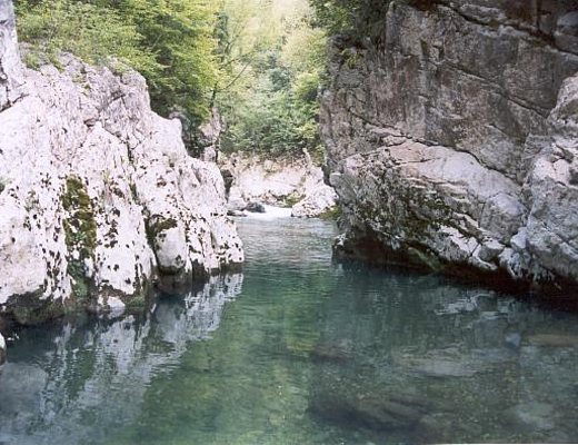 la natura del comune di Felitto