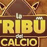 Castellabate Notizie foto - la tribu del calcio premium