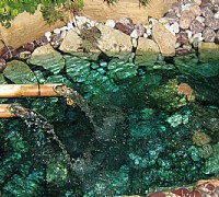 laghetto zen laghetto zen