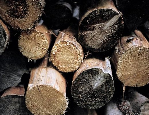 legna per camino