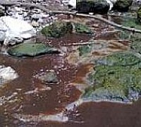 litorale inquinato salerno