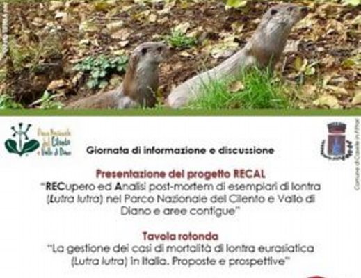 locandina Gestione dei casi di mortalita di Lontra