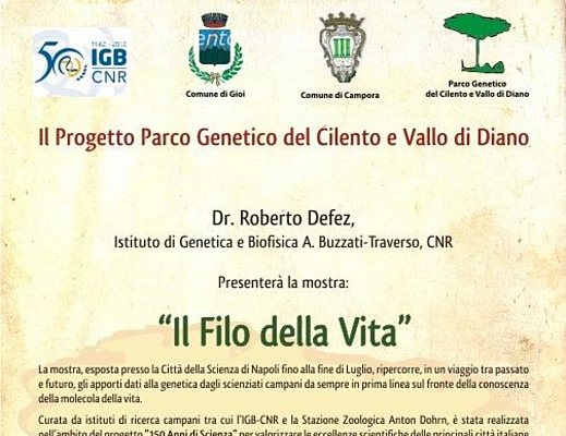 Nicola-Salati foto - locandina il filo della vita definitiva 2012