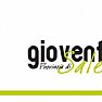 Concorsi foto - logo forum giovani di salerno