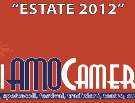 logo viviamo camerota 2012 logo viviamo camerota 2012
