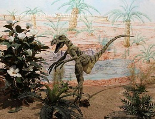 Marisa-Russo foto - magliano museo 4