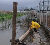maltempo sele tanagro straripano