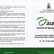 Spettacoli-eventi foto - manifestazioni Auser agropoli natale 2011