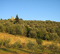 manutenzione terreni manutenzione terreni