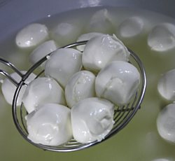 mozzarella di capaccio premiata