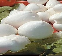 mozzarella dop bellizzi mozzarella dop bellizzi