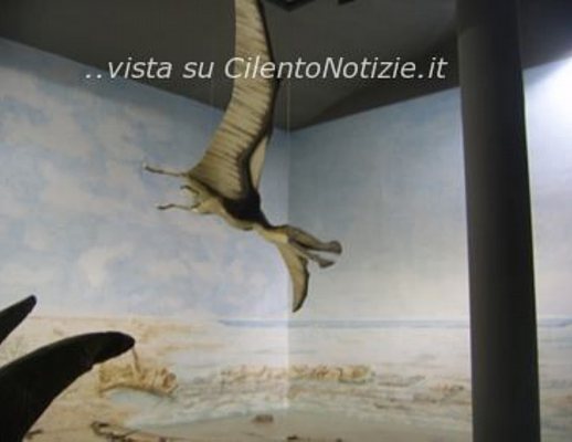 Paolo-Abbate foto - musei nel cilento art abbate 24072012