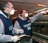 nas carabinieri sequestro