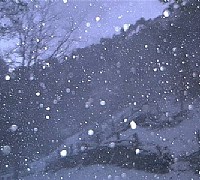 neve e fiocchi di neve