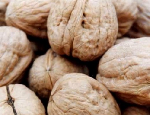 noci fanno bene alla salute noci fanno bene alla salute