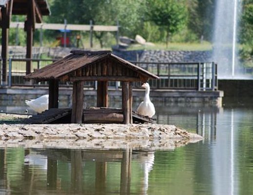 oasi del fiume Alento