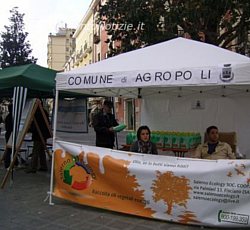 Paolo-Abbate foto - olio raccolta agropoli 24102011