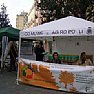 Ambiente foto - olio raccolta agropoli 24102011