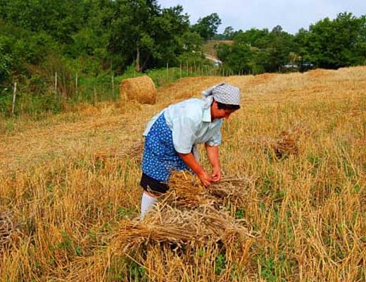 palio del grano 2012