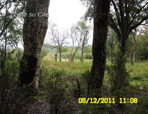 parco delle sughere vibonati art abbate parco delle sughere vibonati art abbate