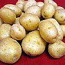 Attualita foto - patate riciclate