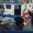 Attualita foto - pescatori al porto