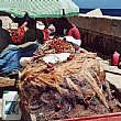 Ambiente foto - pescatori tirano reti porto