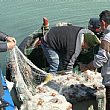 Ambiente foto - pescatori trovano rifiuti