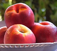 pesche sulla spiaggia