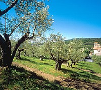 piani pirap rurali cilento