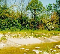 pianteautoctone pianteautoctone