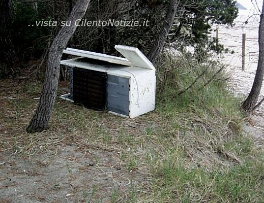 Paolo-Abbate foto - pineta della Cala del Cefalo 01