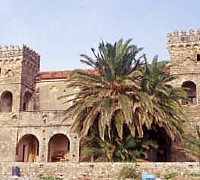 pioppi museo vinciprova pioppi museo vinciprova