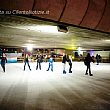 Spettacoli-eventi foto - pista salerno ice camp