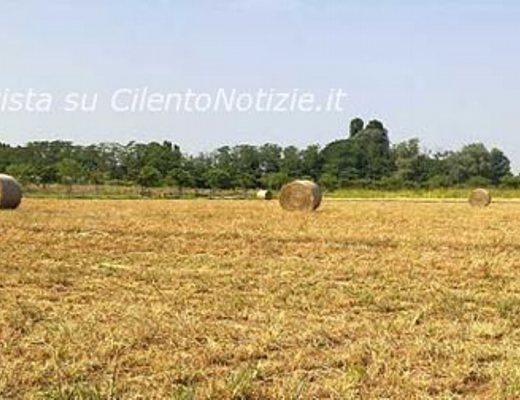 Paolo-Abbate foto - politiche agricole art abbate 17092012