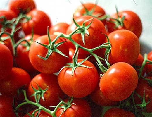 Paolo-Abbate foto - pomodoro biologico