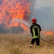 Capaccio Paestum Notizie foto - pompiere spegne incendio