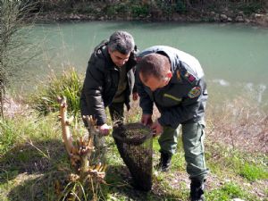 Salerno Notizie foto - reti pesca sequestri.jpg