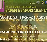 sagra del fungo porcino piaggine