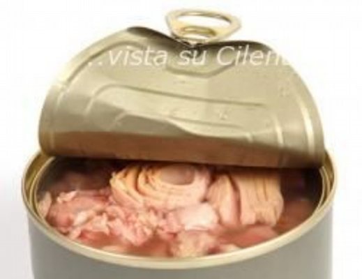 Paolo-Abbate foto - scatoletta di tonno generica