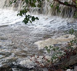 Paolo-Abbate foto - schiuma mingardo dopo forte pioggia 07112011