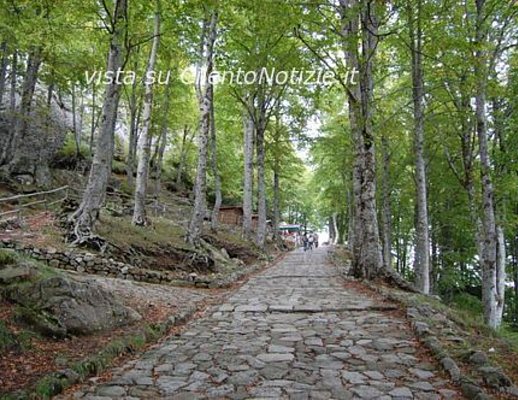 sentieri corsa monte gelbison 2012