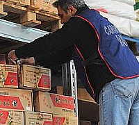 sequestro alimenti nas 230