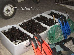 Castellabate Notizie foto - sequestro ricci castellabate 03.JPG