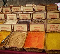 spezie visite vallo della lucania spezie visite vallo della lucania