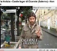 striscia la notizia canile cicerale